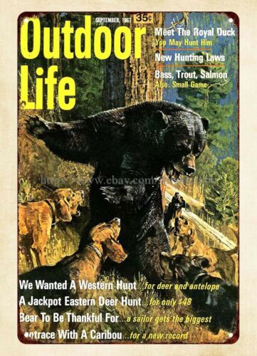 Outdoor Hunting Dogs - office wall decor 1967 Outdoor Life