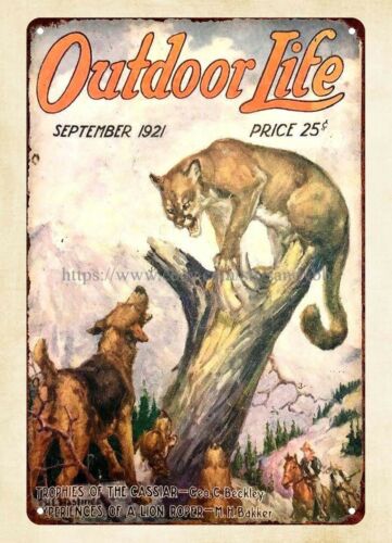 Outdoor Hunting Dogs - buy wall 1921 OUTDOOR LIFE magazine