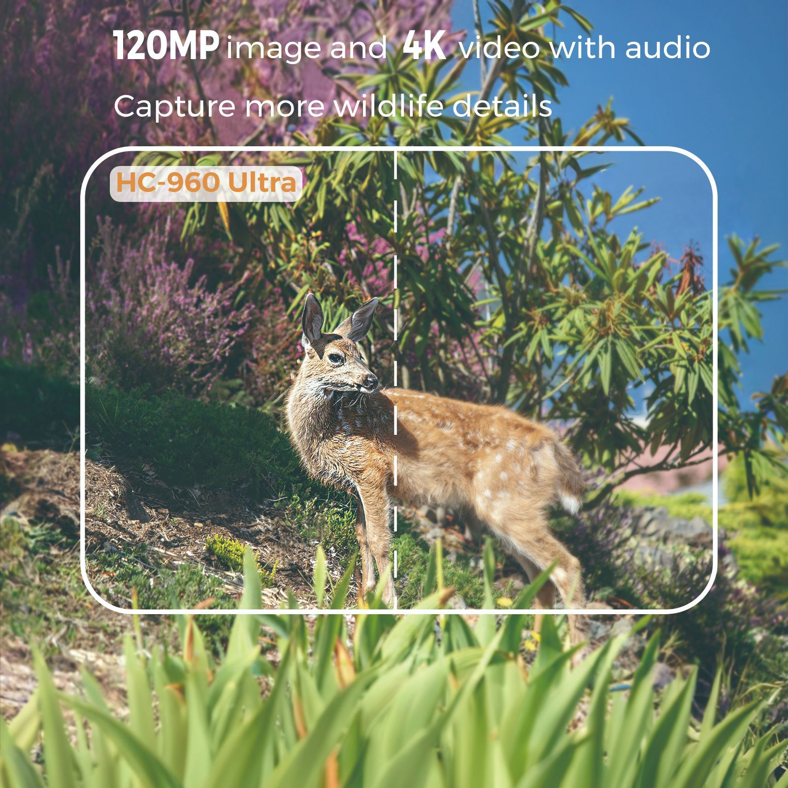Outdoor 4K Video 120MP Photo 4 - огляд і ціна Outdoor Hunting Videos