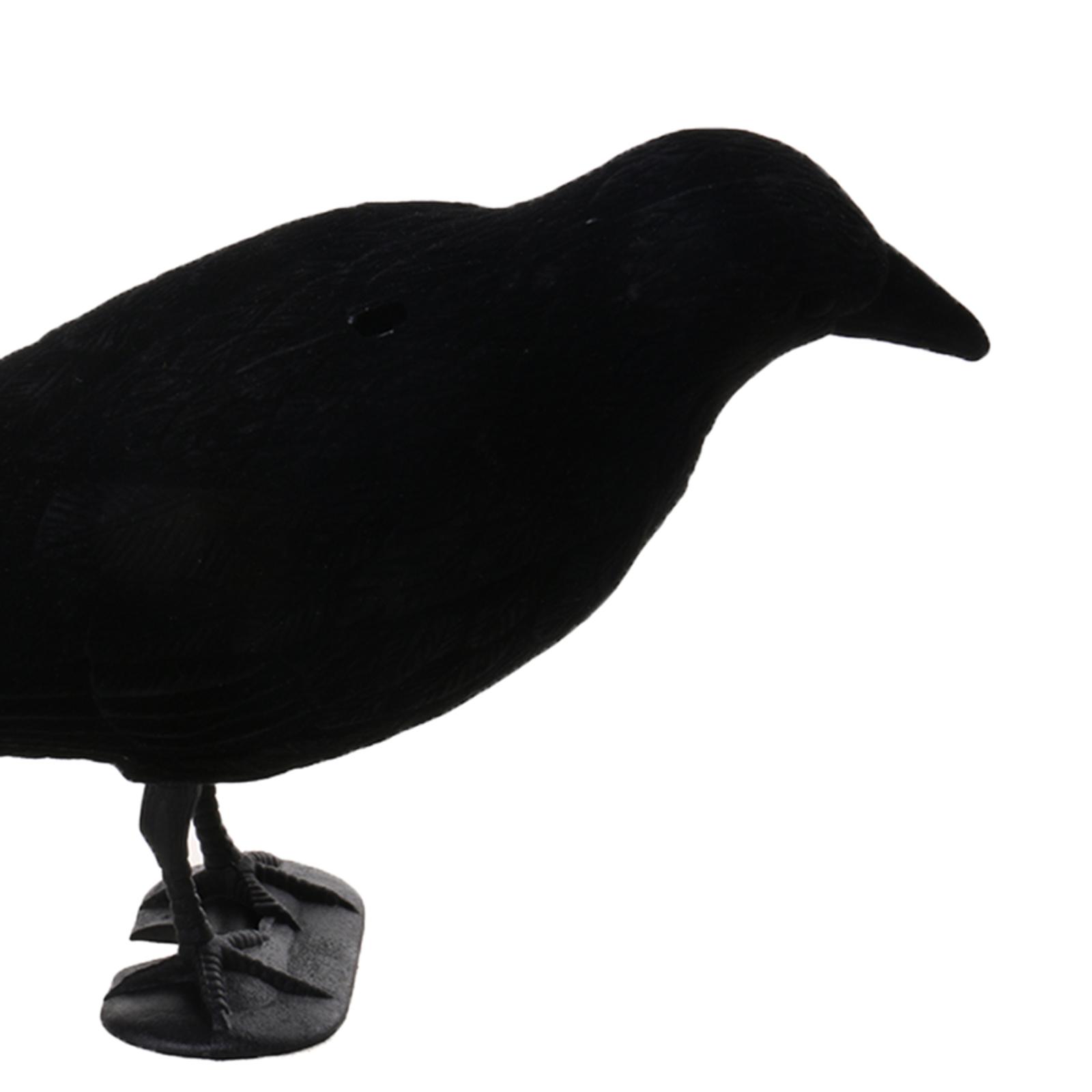 Crow Decoy Animal Trap Body Fl - огляд і ціна Hunting And Outdoor Supplies