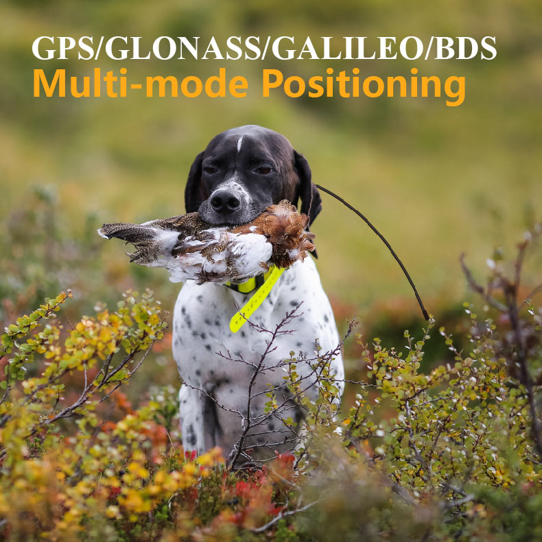 Global GPS Pet Tracker Real Ti - огляд і ціна Outdoor Hunting Dog Supply